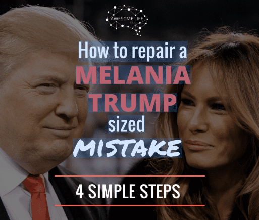 Repair Melania Sized Mistake