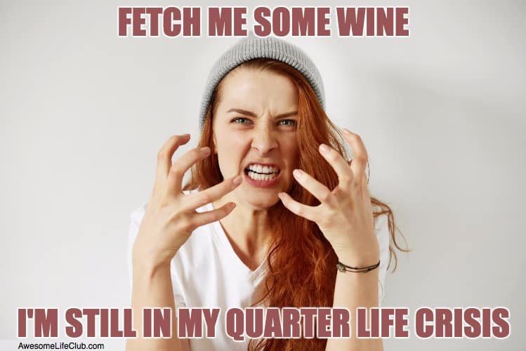 Quarter Life Crisis Wine Meme - fetch me some wine